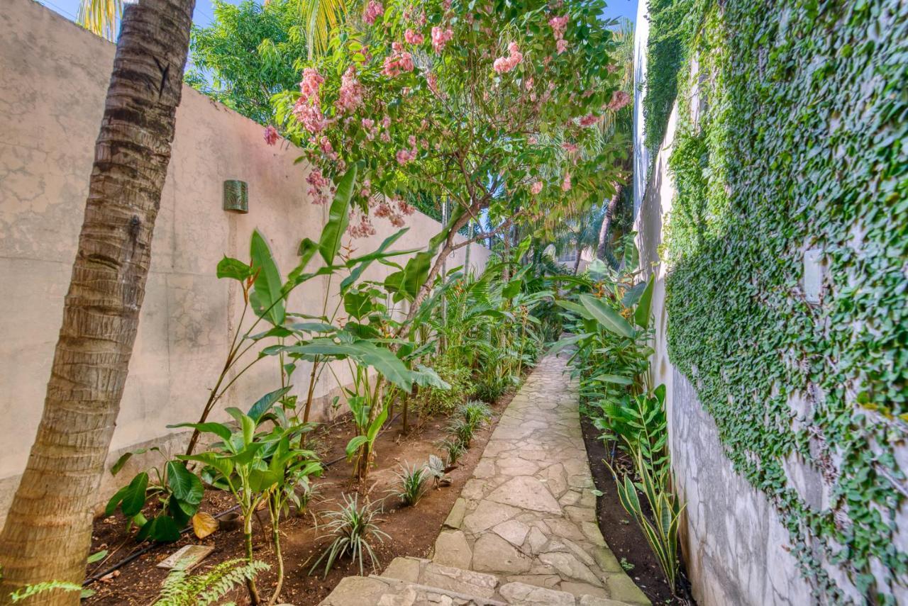 Boutique Hotel Secret Garden Granada Exterior photo